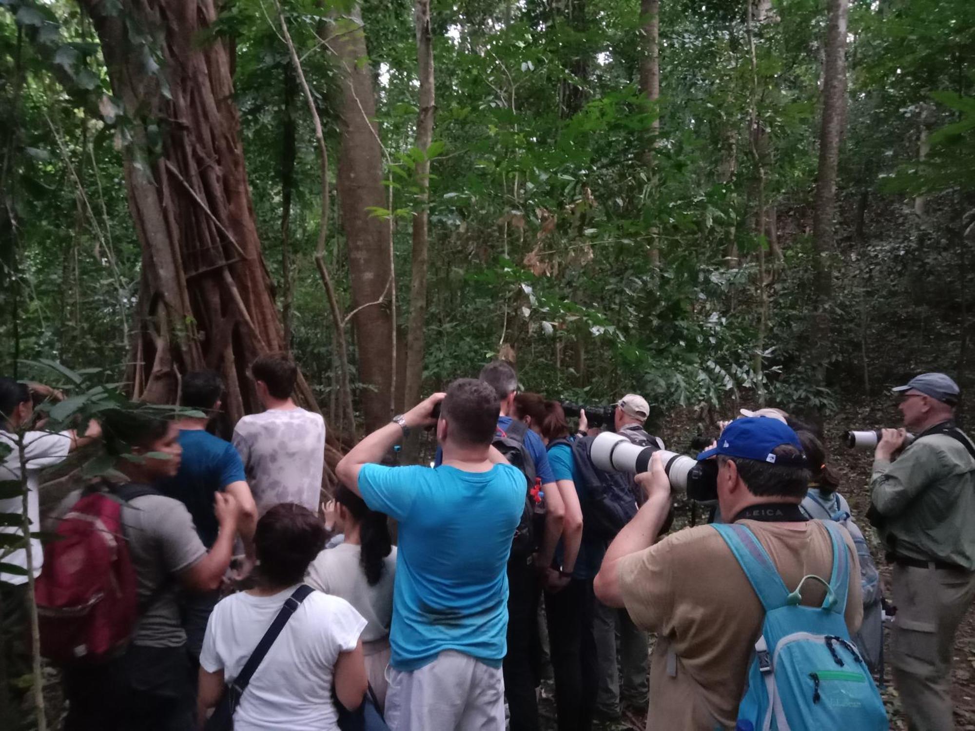 Tangkoko Backpacker Home Stay Rinondoran 外观 照片