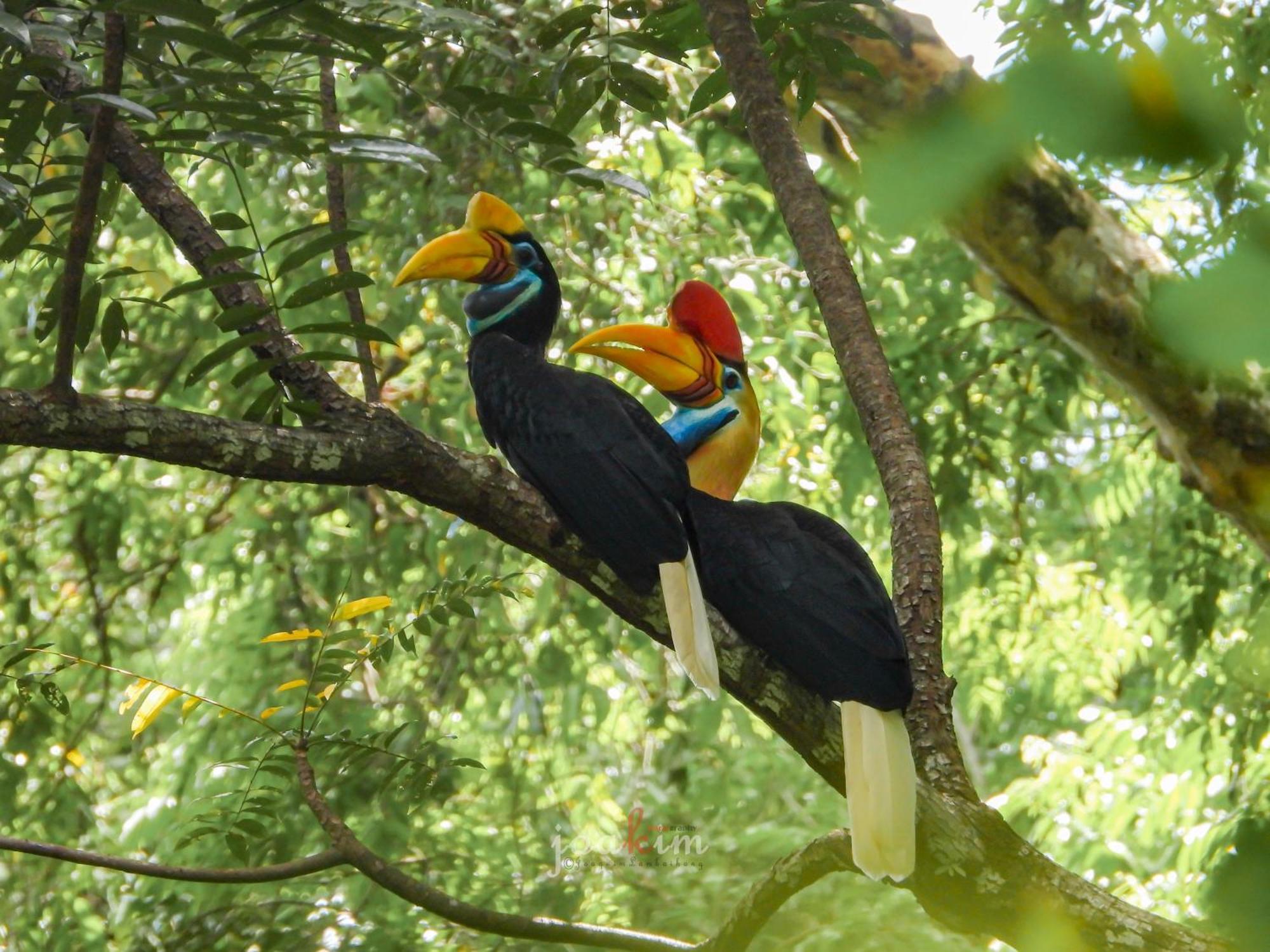 Tangkoko Backpacker Home Stay Rinondoran 外观 照片