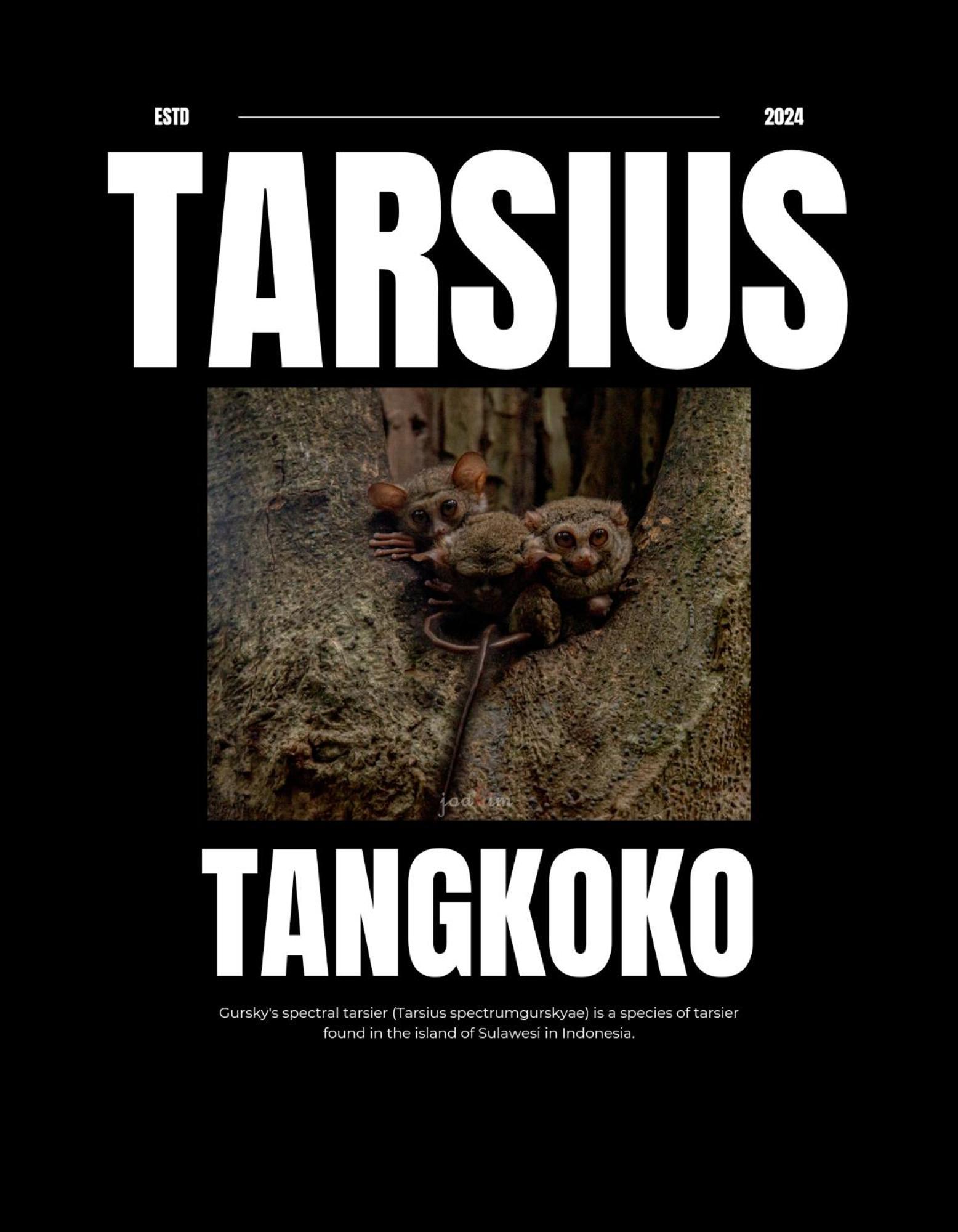 Tangkoko Backpacker Home Stay Rinondoran 外观 照片